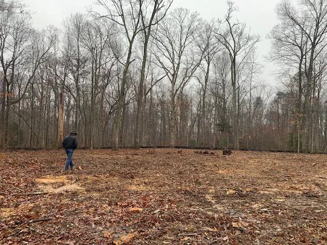 Custom Clearing Pasture Restoration