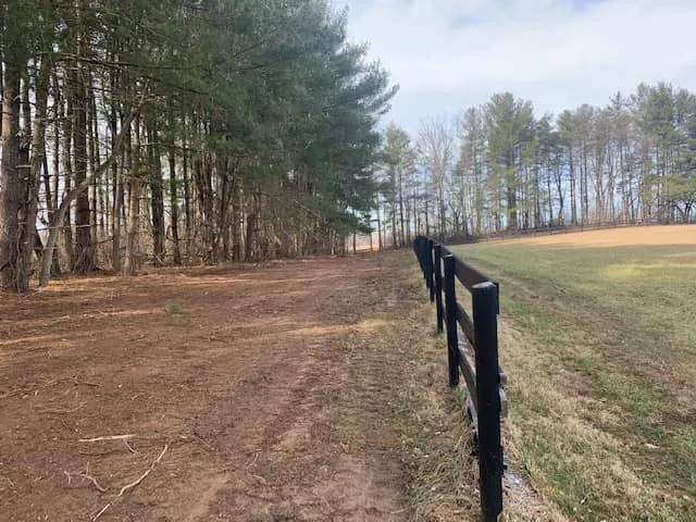 Custom Clearing Pasture Restoration — photograph 2